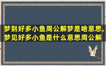 梦到好多小鱼周公解梦是啥意思,梦见好多小鱼是什么意思周公解 🌼 梦